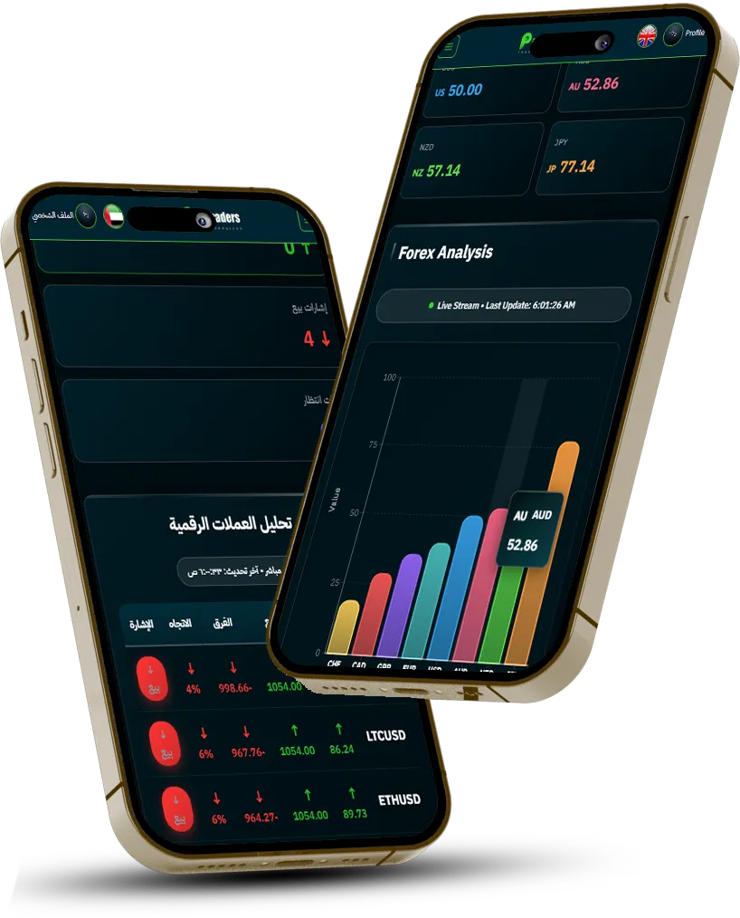 واجهة سيستم السيولة على الهاتف